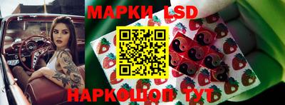 спиды Сланцы