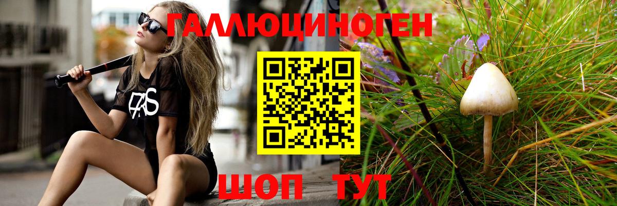 Псилоцибиновые грибы мицелий Нягань